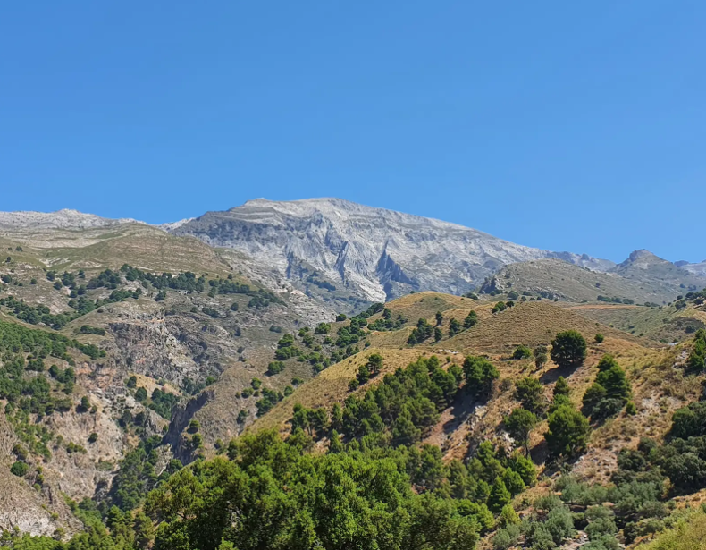 Self Guided Walking in Andalucía